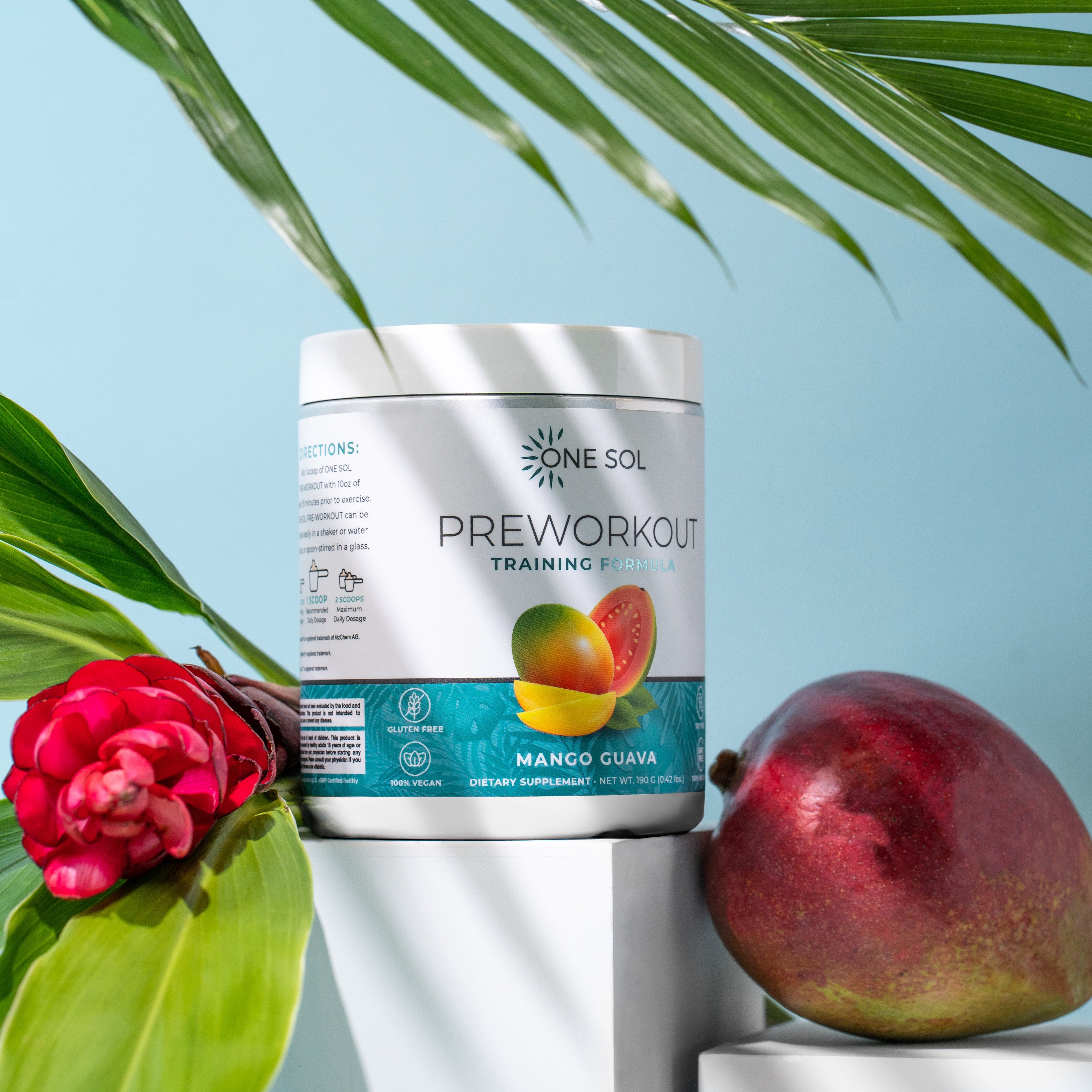 Pre Workout Training Formula